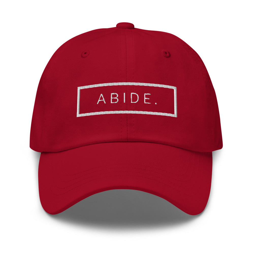 ABIDE Dad hat