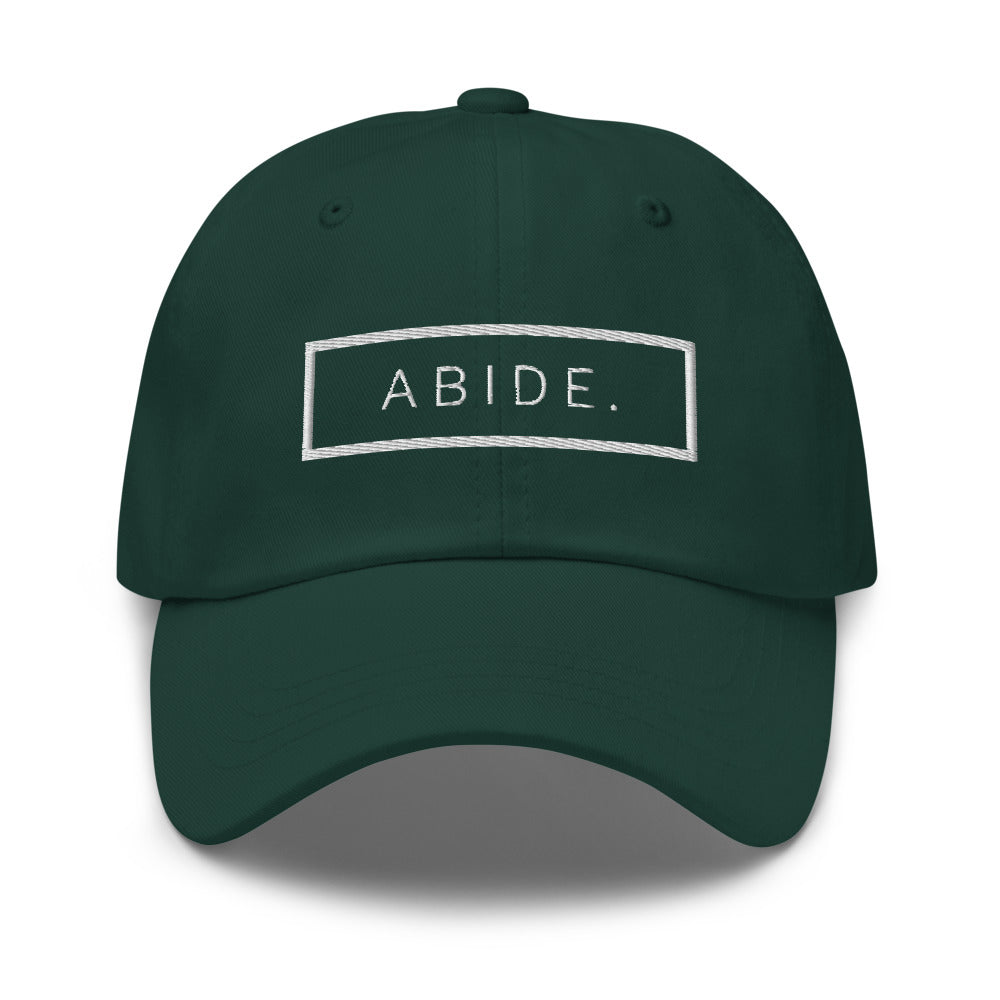 ABIDE Dad hat